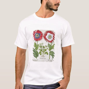 Dekorative Mohnblumen, vom 'Hortus des T-Shirt