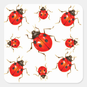 DEKORATIVE ROTE DAME BUG GIFTS QUADRATISCHER AUFKLEBER