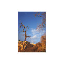 dekorative Wandkunst