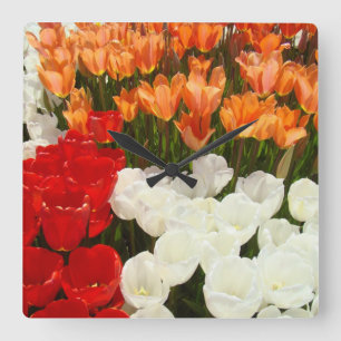 Dekorative Wanduhr-orange Rot-Weiß-Tulpen Quadratische Wanduhr