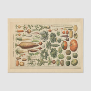Dekorativpapier 10"x15" - Botanische Kunst 45 Seidenpapier
