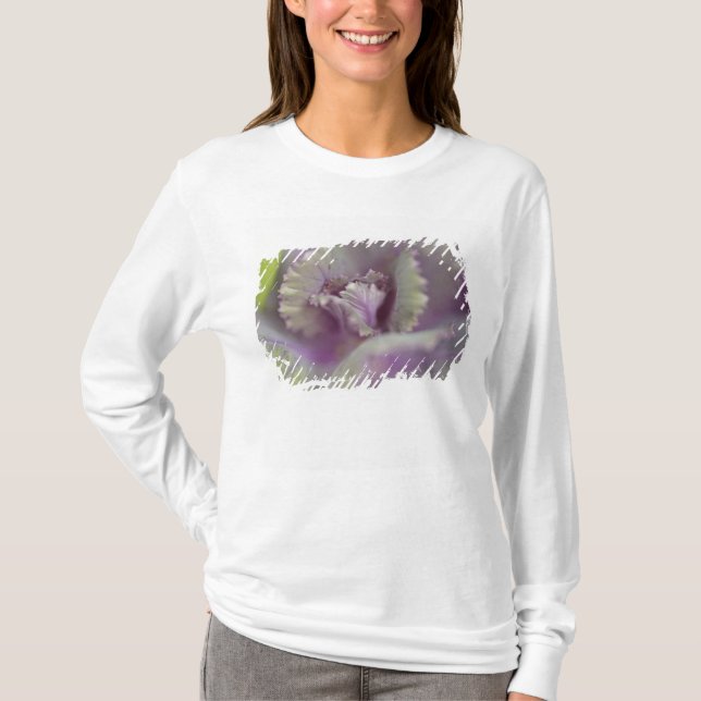 Dekorkohl T-Shirt (Vorderseite)