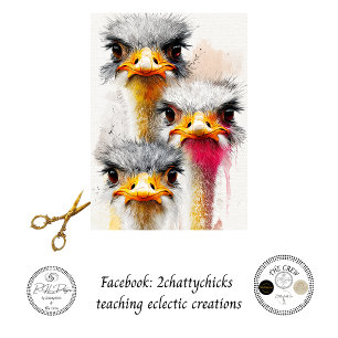 Dekoupage Australisches Emu-Trio-Wildlife-Kunst Seidenpapier