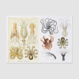 Dekoupage Collage des Vintagen Octopus-Tintenfisch Seidenpapier