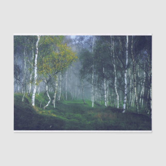 Dekoupage der Malerei auf Birkenwälder Seidenpapier (Vorderseite)