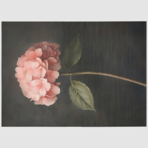 Dekoupage der rosa Hydrangea Botanische Malerei Seidenpapier