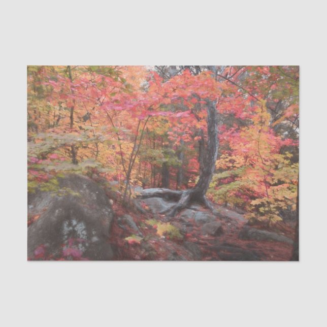 Dekoupage des Herbst-Waldes Rote Orangenbäume Seidenpapier (Vorderseite)