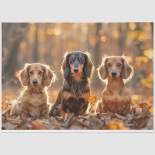 Dekoupage Fall Einstellung Dackeln Herbstlemme Seidenpapier