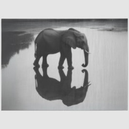 Dekoupage Majestic African Elephant & Reflection Seidenpapier