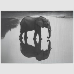Dekoupage Majestic African Elephant & Reflection Seidenpapier