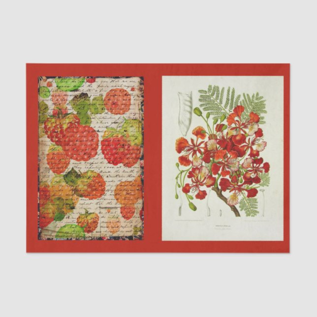 Dekoupage Paper 10"x15" - Botanischer Art 53 Seidenpapier (Vorderseite)