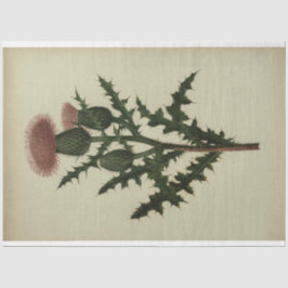 Dekoupage-Papier Seidenpapier