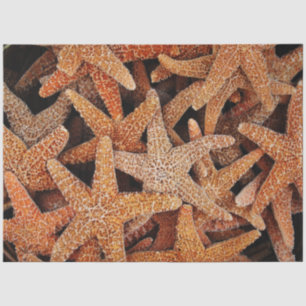 Dekoupage Seidenpapier