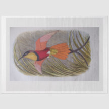 Dekoupage Tissue Paper Vintag Bird Art
