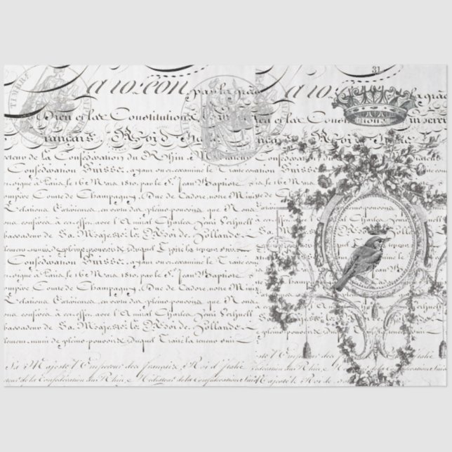 Dekoupage von Landscape Bird Skripts Seidenpapier (Vorderseite)