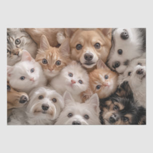 Dekoupage Whimsical Cats & Hunde Herzerwärmung Sze Seidenpapier