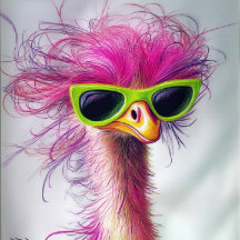 Dekoupage Whimsical Ostrich Wackadoodle RHDesign