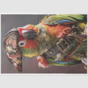 Dekoupage Whimsical Pirate Conure Parrot Seidenpapier