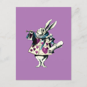 Dekret des Orchid White Rabbit Postkarte