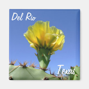 Del Rio Texas gelbe Kaktusblume Andenken Magnet