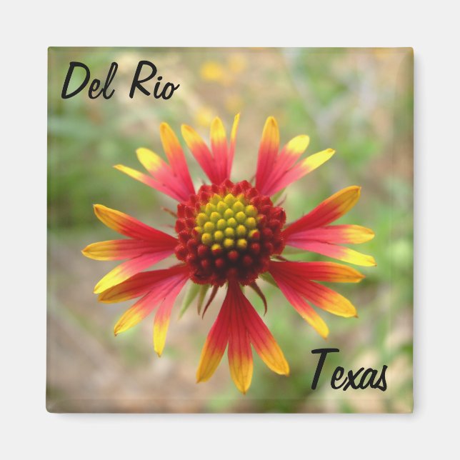 Del Rio Texas Magnet Deckblume Wildblume texa (Vorne)