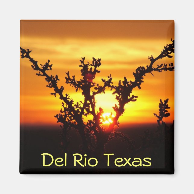Del Rio Texas Souvenirs Wüstenbürste Sonnenunterga Magnet (Vorne)