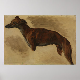 Delacroix - Levrier vermutlich 1859 Poster