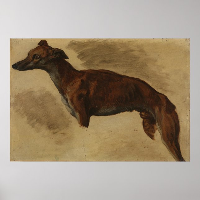 Delacroix - Levrier vermutlich 1859 Poster (Vorne)