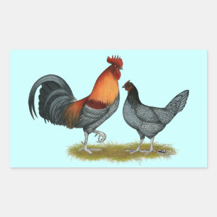 Delaware-Blau-Henne Rechteckiger Aufkleber