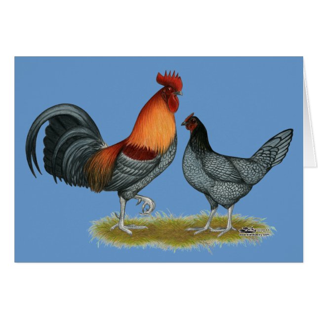 Delaware Blue Hen (Vorderseite (Horizontal))