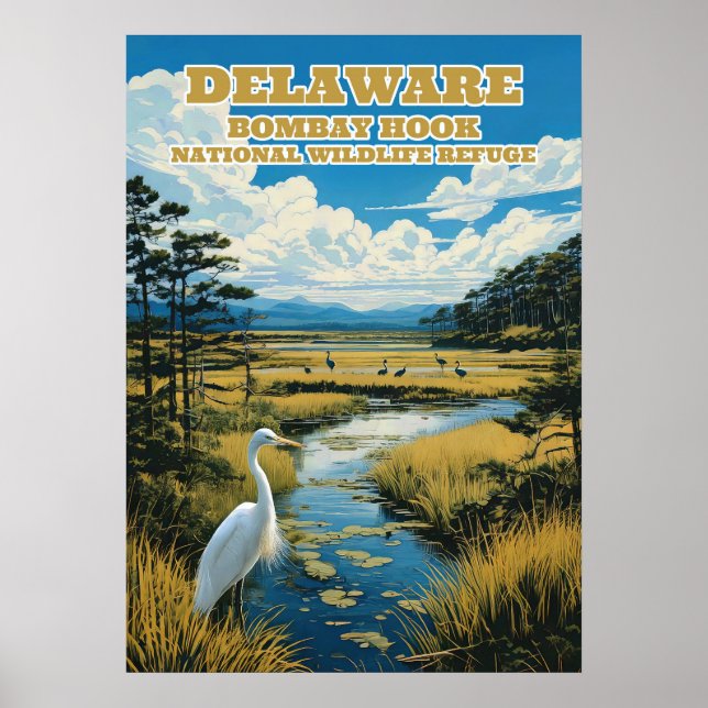 Delaware Bombay Hook V02 Poster (Vorne)