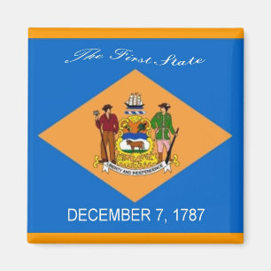 Delaware Flag Magnet