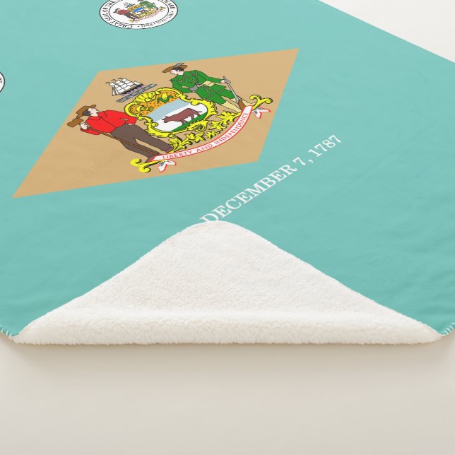 Delaware-Flagge Sherpadecke (3/4)