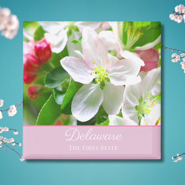 Delaware Peach Blossoms Erster Staat Magnet (Von Creator hochgeladen)