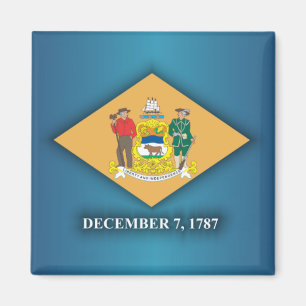 Delaware Pride Magnet