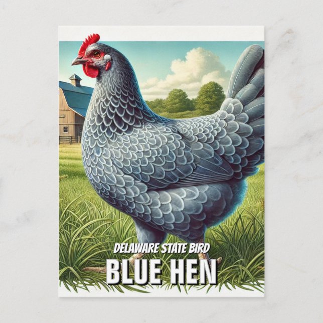 Delaware Staat Bird Blue Hen Postkarte (Vorderseite)