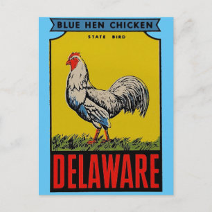 Delaware Staat Bird Postcard Postkarte