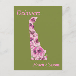 Delaware Staat Blume Collage Map Postkarte