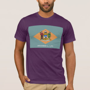 Delaware The Diamond US-Staatsflagge T-Shirt