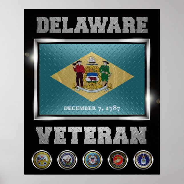 Delaware Veteran Poster (Vorne)