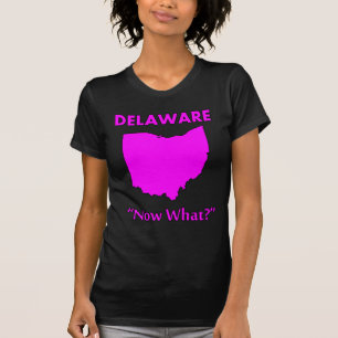 Delaware - Was nun? T-Shirt