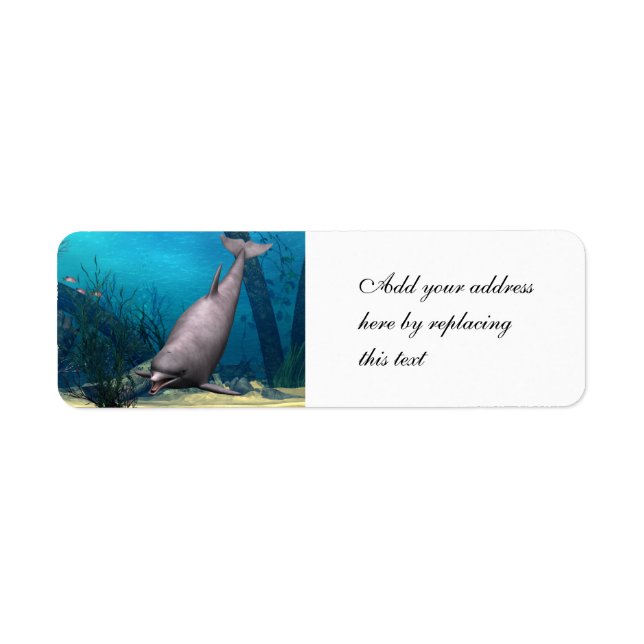 Delfin (Vorne)