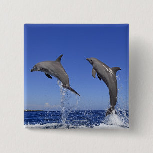 Delfin 2 button