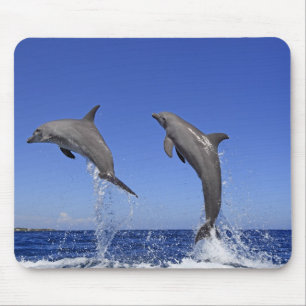 Delfin 2 mousepad