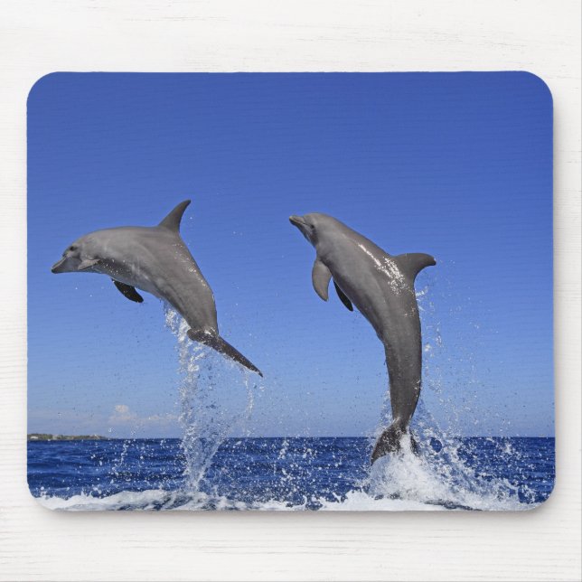 Delfin 2 mousepad (Vorne)