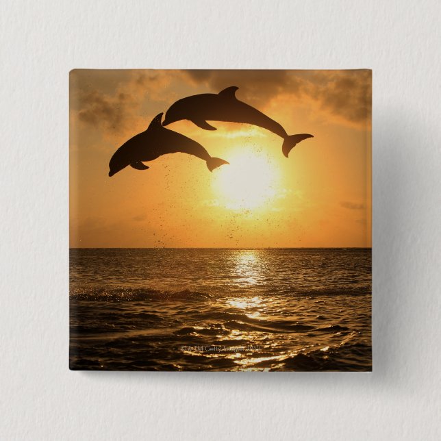 Delfin 3 button (Vorderseite)