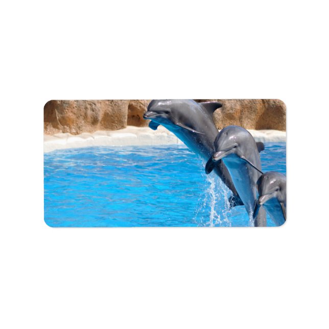 DELFIN ADRESSAUFKLEBER (Vorne)