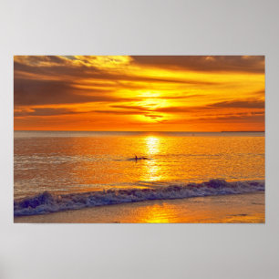 Delfin bei Sonnenuntergang, Fort Myers Beach, Flor Poster