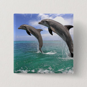 Delfin Button