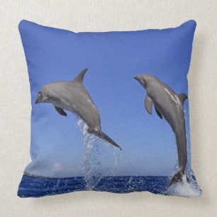 Delfin, Dauphin, groberes Tuemmler, Tursiops 3 Kissen